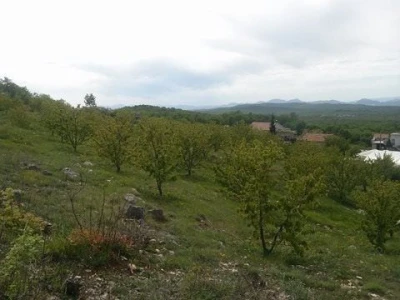 Imanje Damira Musa u Čerigaju