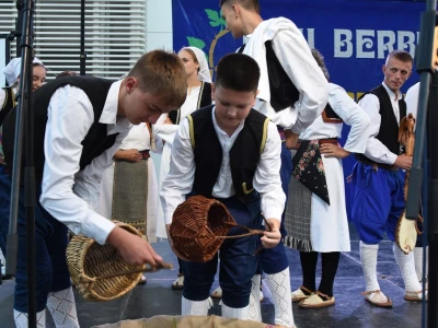 Dani berbe grožđa Brotnjo 2023