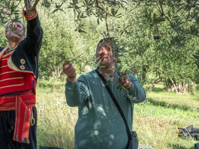 Dani berbe maslina u Hercegovini