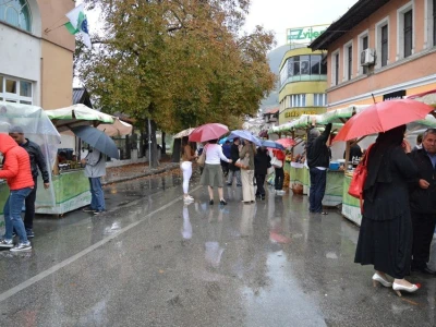 Vladina Bašta
