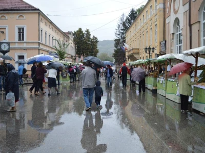 Vladina Bašta
