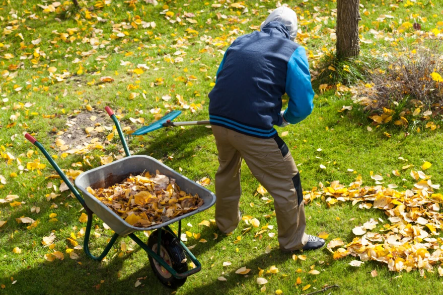 travnjak