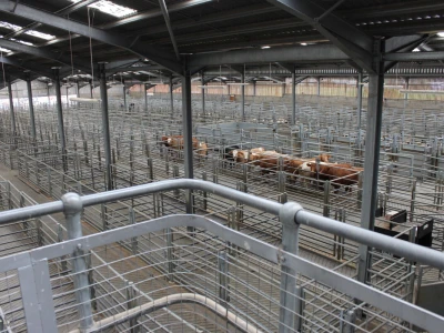 Dingwall & Highland Marts, Dingwall, Škotska