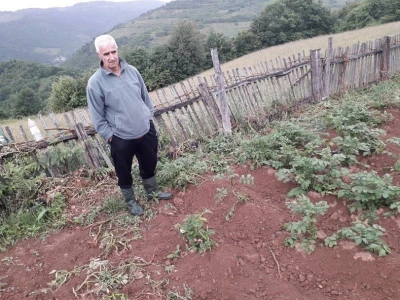 Divljač uništava usjeve, lov zabranjen, a uslovi za odštetu nerealni