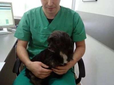 Doktor Miljan Dobrijević: Veterinar mora biti spreman na sve