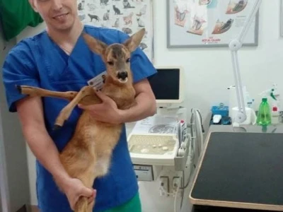 Doktor Miljan Dobrijević: Veterinar mora biti spreman na sve