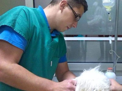 Doktor Miljan Dobrijević: Veterinar mora biti spreman na sve