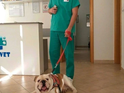 Doktor Miljan Dobrijević: Veterinar mora biti spreman na sve