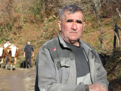 Domaćinstvo Sladojević