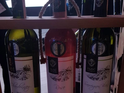 Dragan Pajić na djedovini podigao vinograd i proizvodi vrhunska vina
