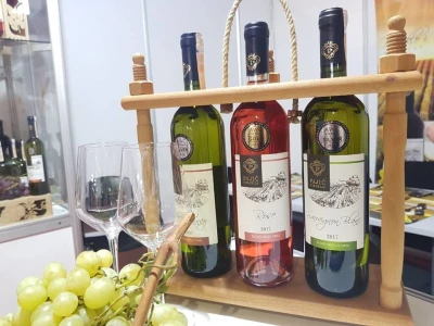 Dragan Pajić na djedovini podigao vinograd i proizvodi vrhunska vina