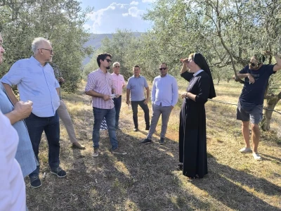 Dragulji i zajednički brend spajaju maslinare zemalja istočnog Jadrana?!
