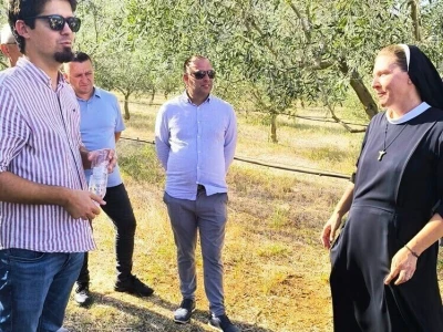 Dragulji i zajednički brend spajaju maslinare zemalja istočnog Jadrana?!