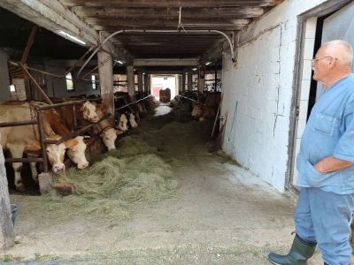 Dragutin Krišto, najstariji zaposleni veterinar u BiH