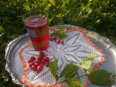 Drijen - sok i džem