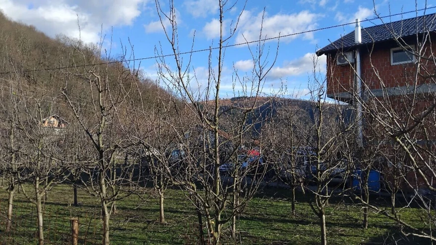 voćnjak