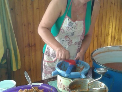 Dušanka Šurlan sa pekmezom od šipka pokrenula poslovnu ideju "Naše teglice" - i pobijedila