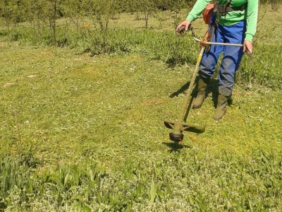Dušanka Šurlan sa pekmezom od šipka pokrenula poslovnu ideju "Naše teglice" - i pobijedila