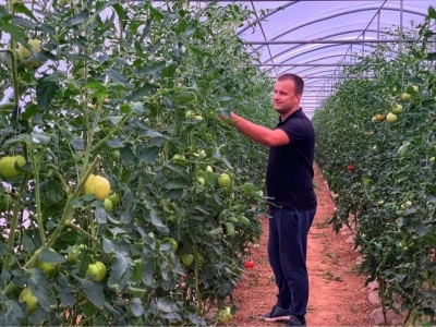 Dženan Bašić: U treći plastenik planiramo uzgajati jagodu po eko standardima