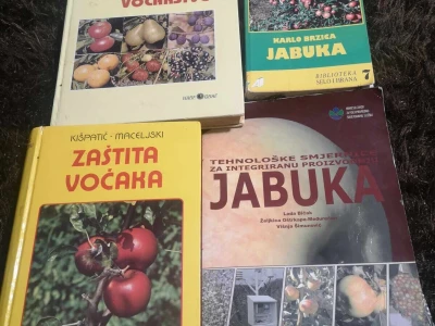Edib Balić