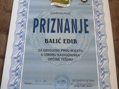 Edib Balić