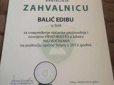 Edib Balić