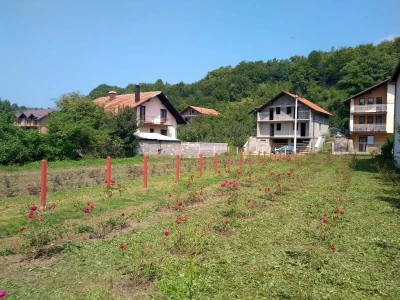 Emir Hadžijusufović proizvodi prirodni sirup od ruže