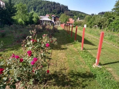 Emir Hadžijusufović proširio paletu proizvoda od ruže