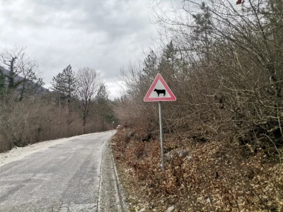 Emir i Senada Dedić pecaju na Boračkom jezeru