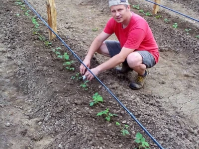 Oživjeli Hadžijin mlin i zasadili dulum malina