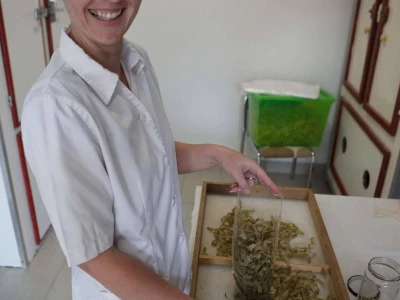 Esma Zjajo: Inovatorica izrađuje Naturgeist - domaću tjesteninu sa jajačkim prefiksom