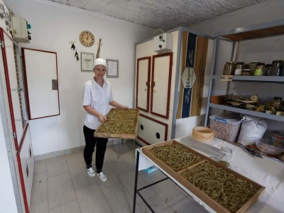Esma Zjajo: Inovatorica izrađuje Naturgeist - domaću tjesteninu sa jajačkim prefiksom