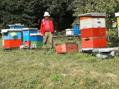 Ešref Garib: Pčele i maline mogu i moraju biti u simbiozi