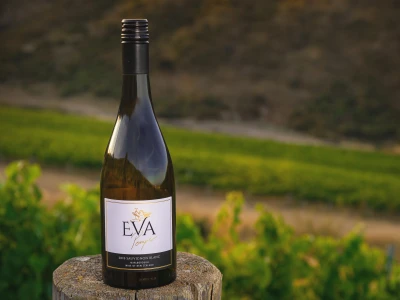 Eva Pemper vina