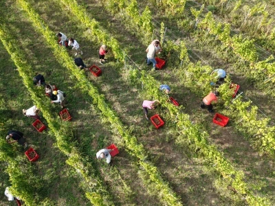 Evo što smo poklonili hrvatskoj poljoprivredi: 170 agrarnih novinara iz 40 zemalja upoznalo Hrvatsku iz prve ruke