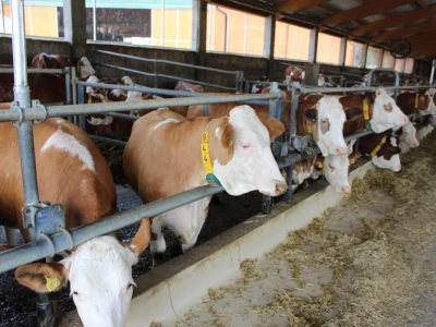 Farma Agro Mašić