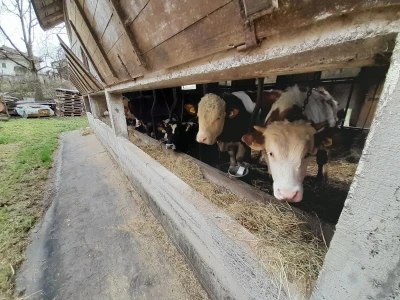 Farma Azema Mehanovića