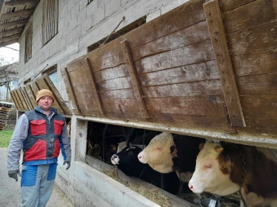 Farma Azema Mehanovića