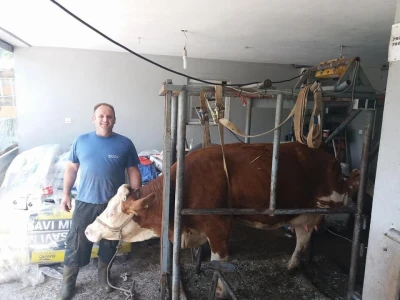 Farma Brkić iz Blatne
