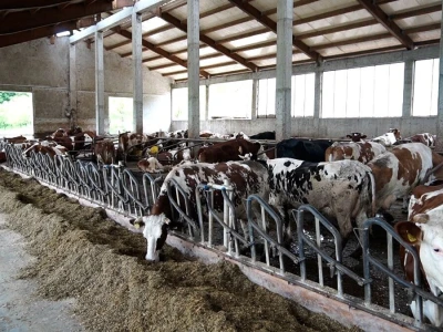 Farma Dejana Simića iz Grabik Ilove