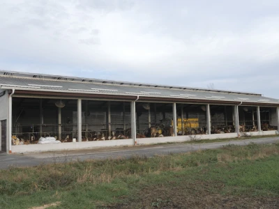 Farma "Janjić Simental Breed" u Jenjiću kod Orašja