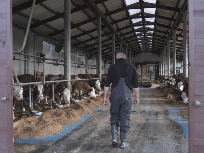 Farma "Janjić Simental Breed" u Jenjiću kod Orašja