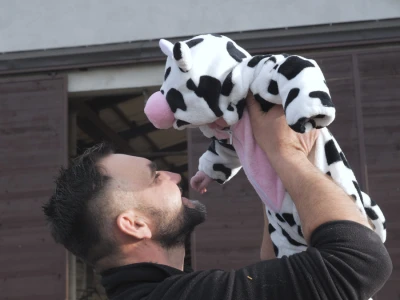 Farma "Janjić Simental Breed" u Jenjiću kod Orašja