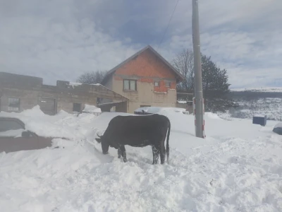 Farma KM Glamoč
