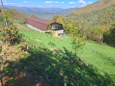 Farma koka Goražde