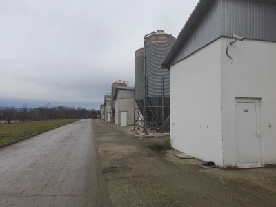 Farma koka nosilica na Farmi Bingo