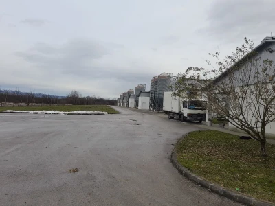 Farma koka nosilica na Farmi Bingo
