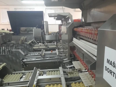 Farma koka nosilica na Farmi Bingo