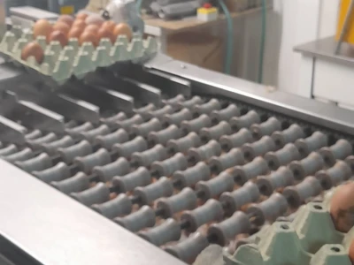 Farma koka nosilica na Farmi Bingo