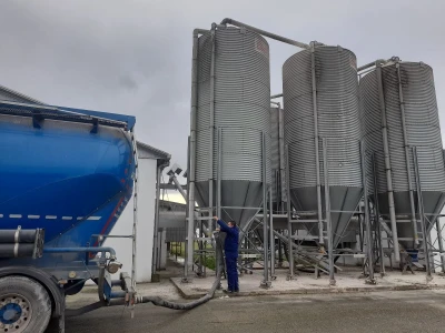 Farma koka nosilica na Farmi Bingo
